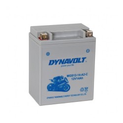 BAT. YTX14AH-BS DYNAVOLT ( 134*89*166 )