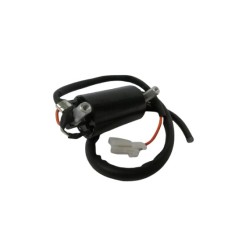 BOB. COIL P/S-EN125 2007-24