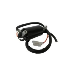 BOMBA ACEITE ITAL. FT150 / DM150 / RC125