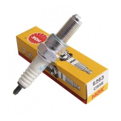 BUJIA NGK. CR9E  ( U27ESR-N )