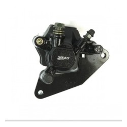 CAL. LOGO REDBULL/MONSTER PLANA