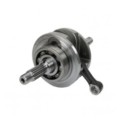 CIG. COMP. VELOCI XEVERUS 250