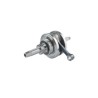 CIG. COMP. ITALIKA DM250 2020-25
