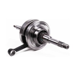 CIL. COMP. ITALIKA 170-Z