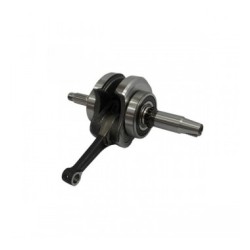 CIL. COMP. ITALIKA AT110