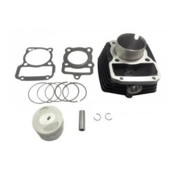 CIL. COMP. ITALIKA DS125