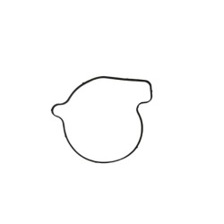 EMP. BOMBA AGUA BRP. ATV. 1000R.