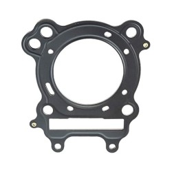 EMP. CAB. CIL. BRP. ATV. DS250 2006-24