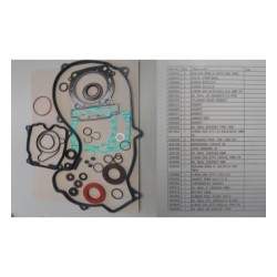 EMP. CAB. CIL. BRP. ATV. DS450X