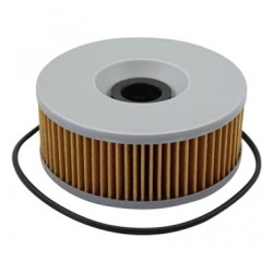 FILTRO ACEITE ( 6002 ) FJ100 / VMAX 1300