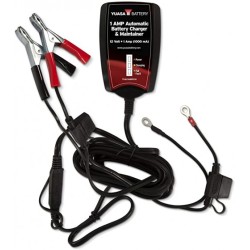 CAR. BAT. YUASA 12V. 1.0 AMPS.