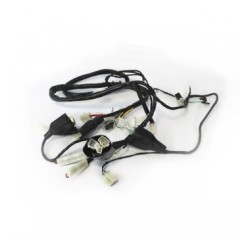 ALAM. COM. VENTO ROCKETMAN 250