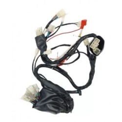 ALAM. COM. VELOCI XEVERUS 250