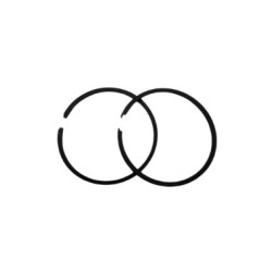 ANILLO PROPELA BRP. PWC. 4T. 2004-08