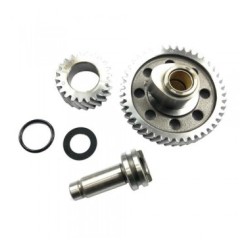 ARBOL PRIM. CAR/TIT. 2002-12 SOLO