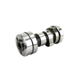 ARBOL PRIM. ITALIKA DM200 COM.