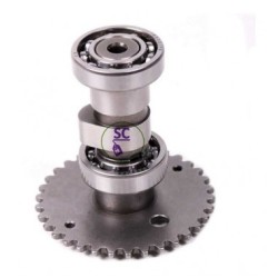 ARBOL PRIM. ITALIKA EX200 COM.