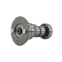 ARBOL PRIM. ITALIKA ST90 COM.