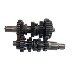 ARBOL PRIM/SEC. ITAL. DM150