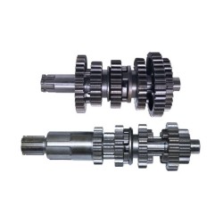 ARBOL PRIM/SEC. ITAL. FT180