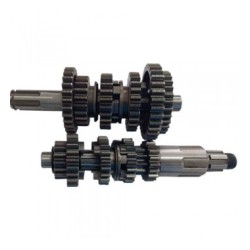 ARBOL PRIM/SEC. ITAL. 250-Z