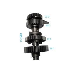 ARBOL SEC. ITALIKA AT110 COM.