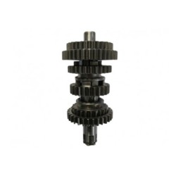 ARBOL SEC. P/Y-SR-250  SOLO