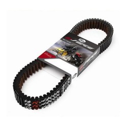 BANDA GATES POL. RZR1000 ( 21G4140 )